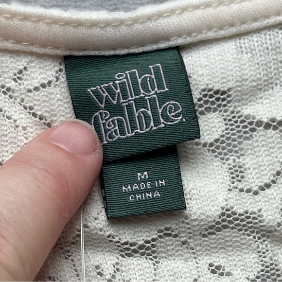 Wild fable nwt cream lace long sleeve dress - Picture 5 of 10